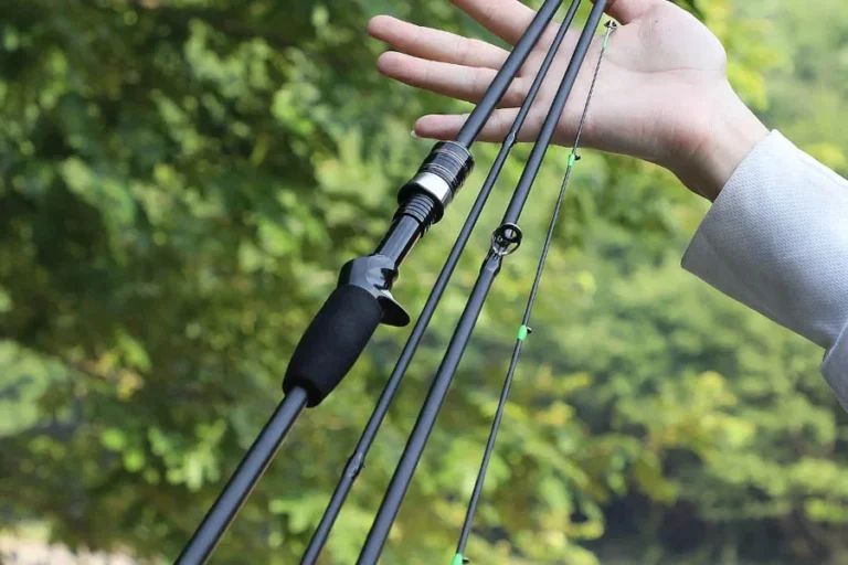 spinning fishing rod