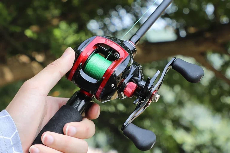 spin reel fishing rod