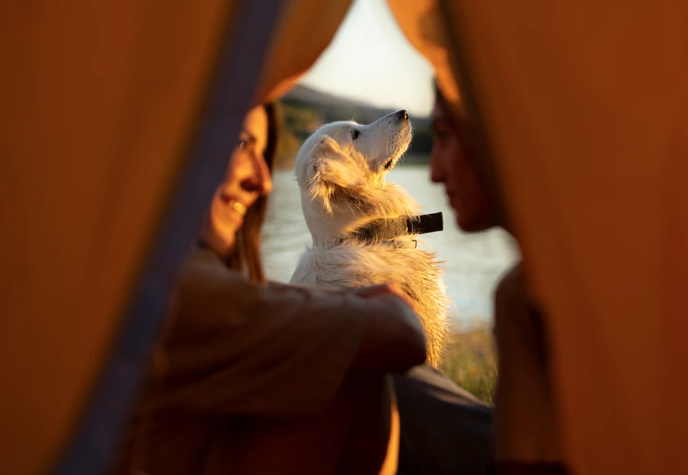 Quick pitch 4-person tent